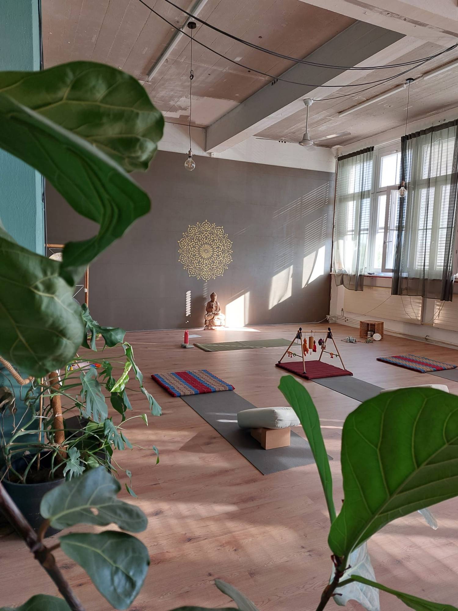 Yoga-Studio Lenzburg – Wise Gloria Areal